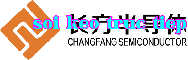 Công ty Công nghệ Bán dẫn Trường Phương Giang