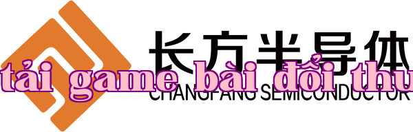Công ty Công nghệ Bán dẫn Trường Phương Giang