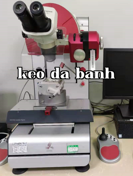 자동 푸시풀 머신